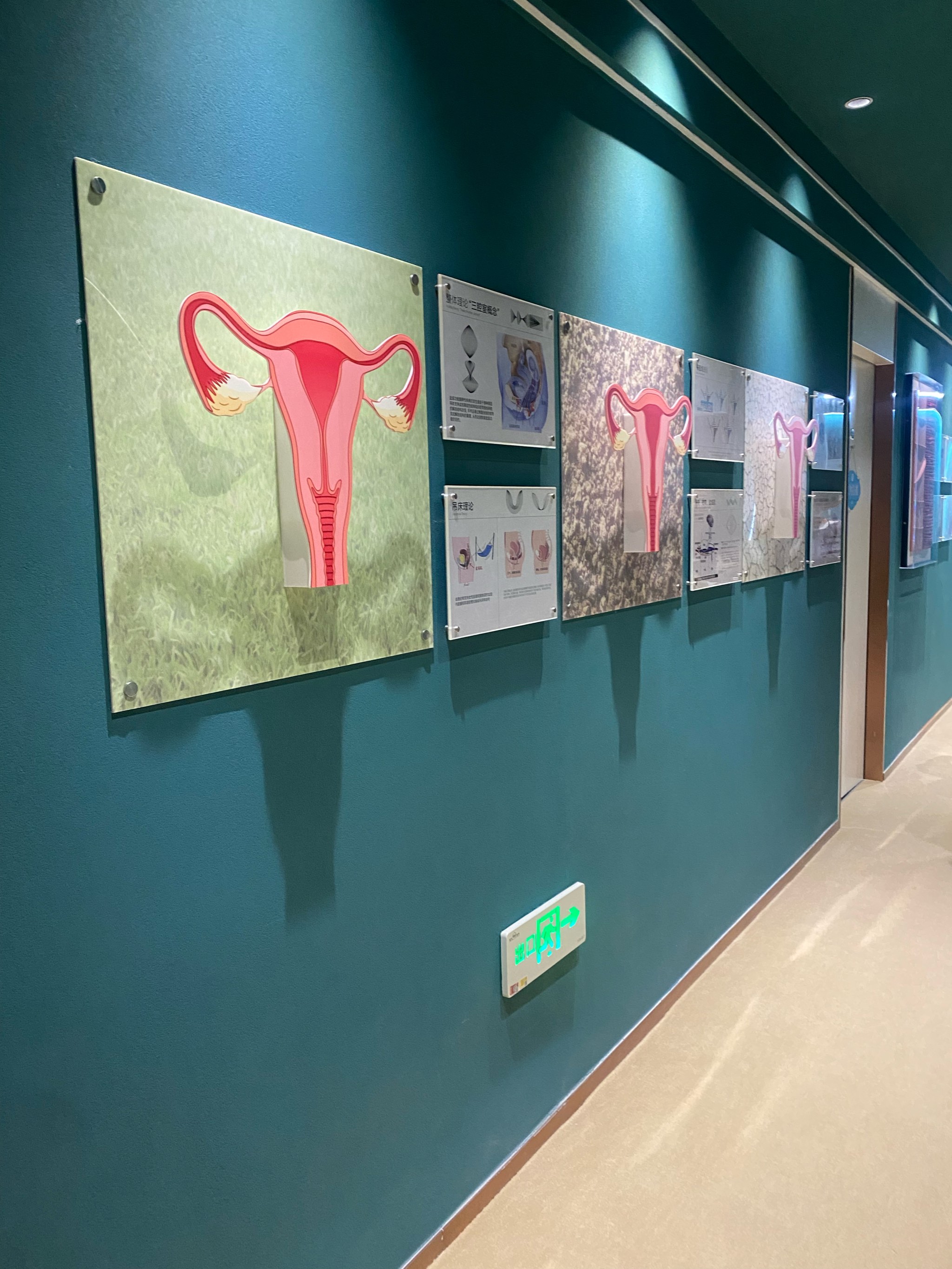 女生的隐私，一份私密的探索-第3张图片