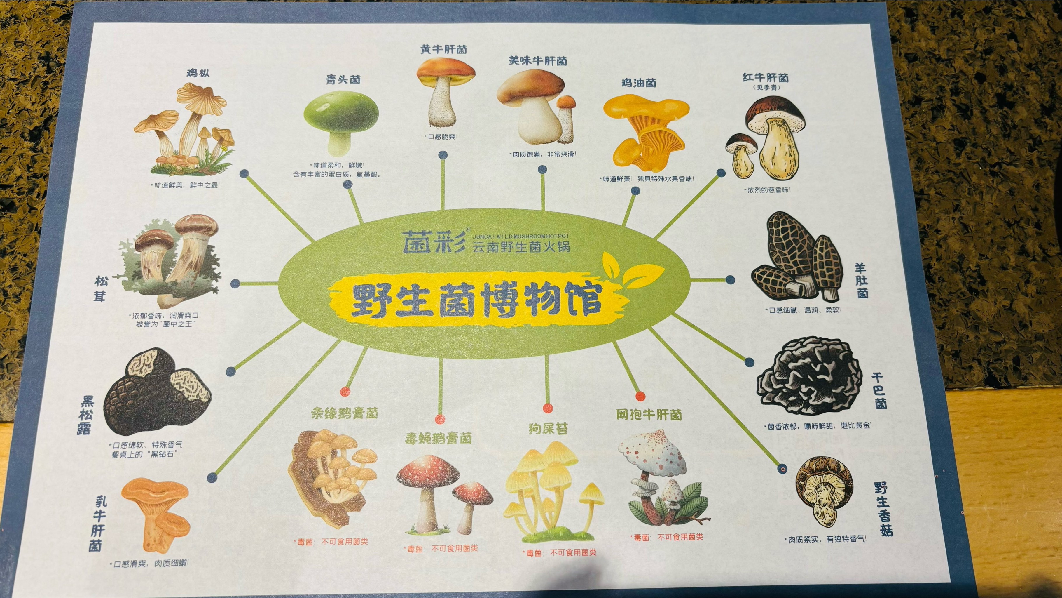 野生菌网站野生菌电影网，探索神秘菌菇的世界-第2张图片