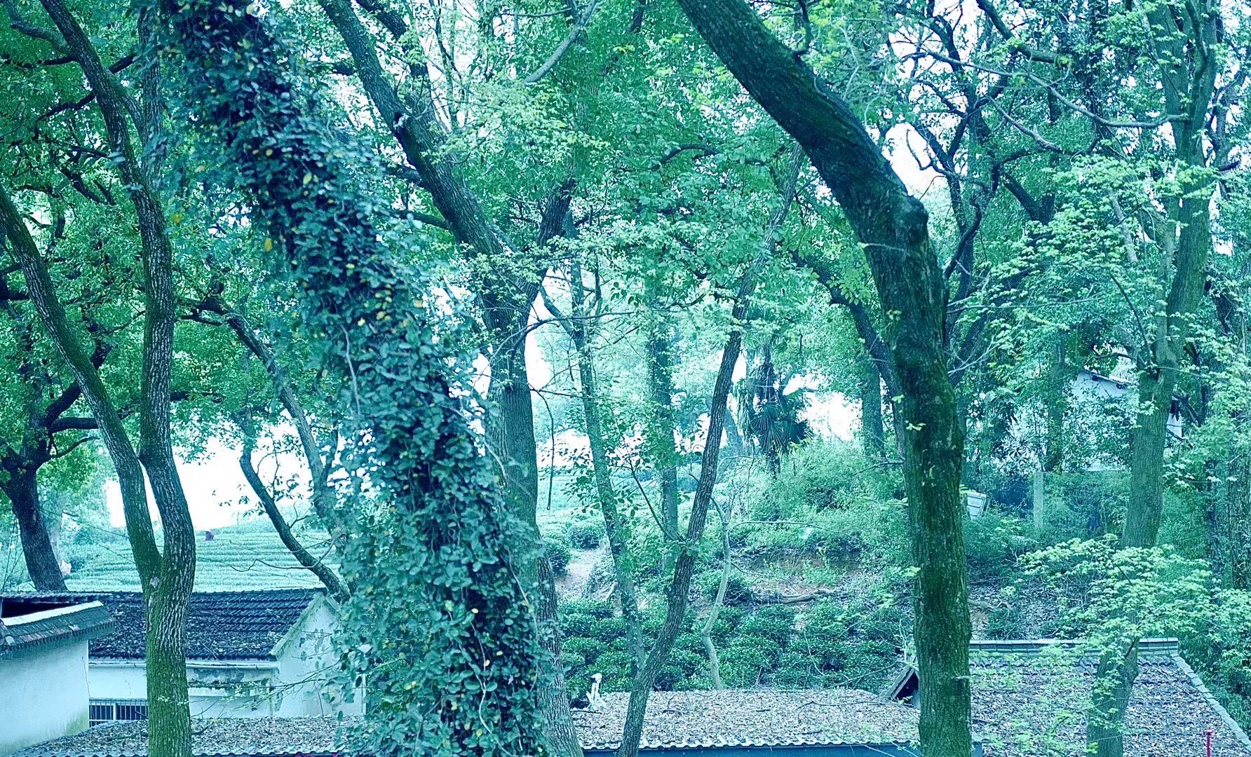 沈木兮薄云岫免费阅读沈木兮薄云岫，一场神秘的阅读之旅