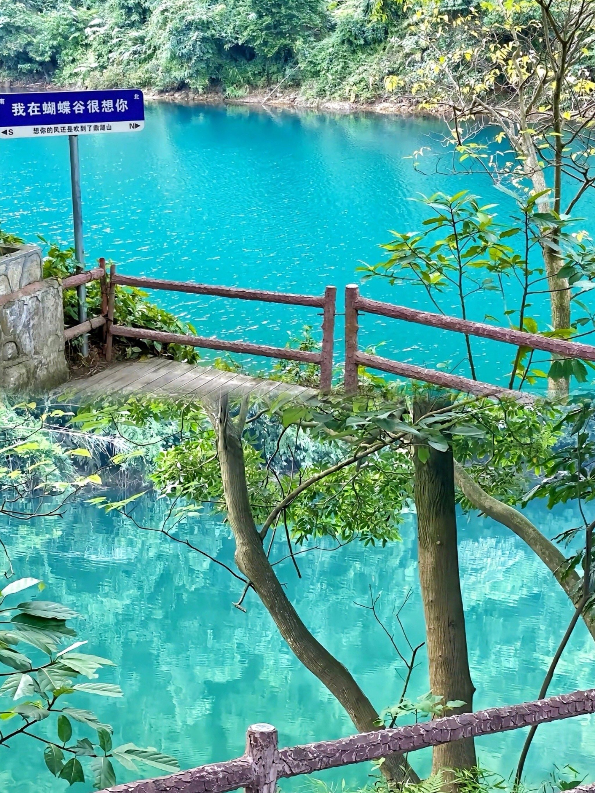 成人蝴蝶谷，探索成人之美的神秘之地-第2张图片