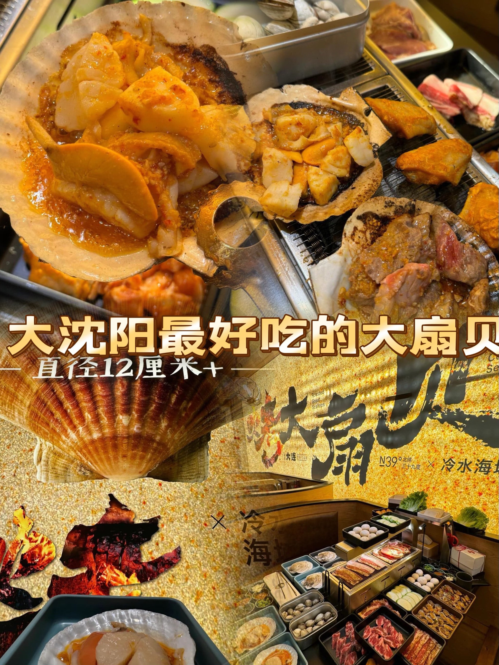 打开腿吃你的扇贝打开腿吃你的扇贝