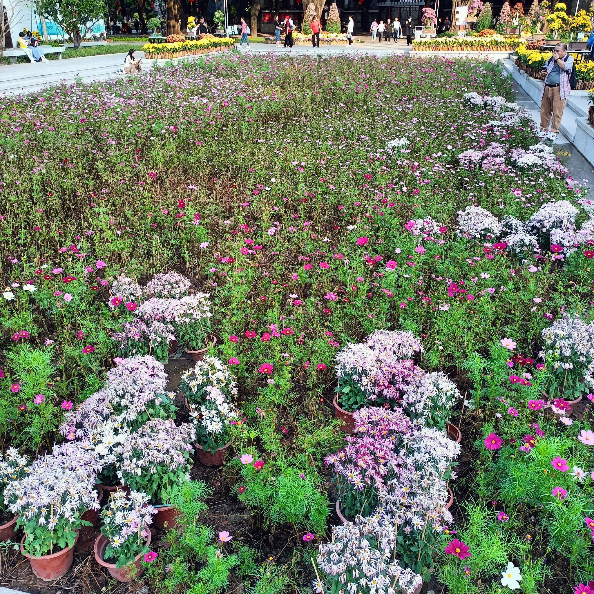 花花社区，生活的小世界
