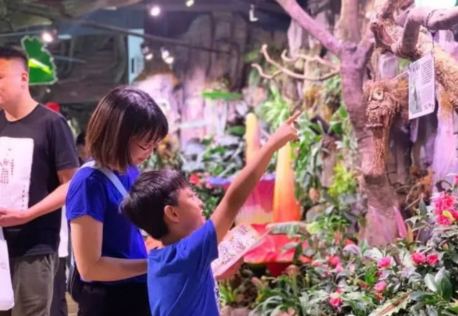 10岁幼儿园探索10岁幼儿的树世界与小学生之间的奇妙互动-第2张图片