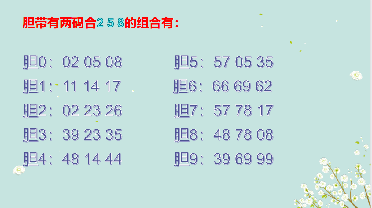 无人一码二码三码免费使用指南-第2张图片