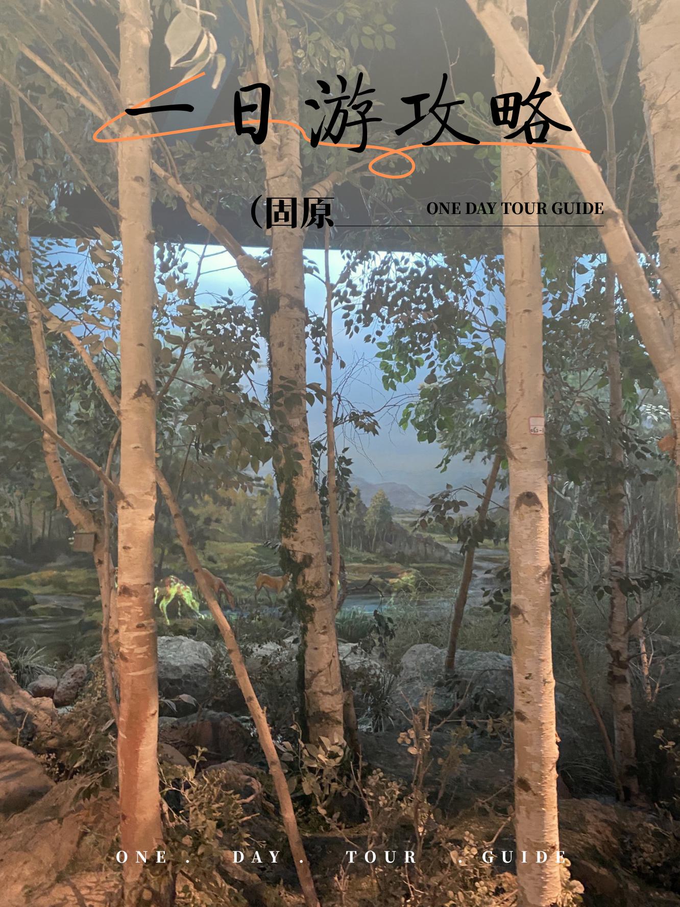 固原呱呱网，探索网络新纪元