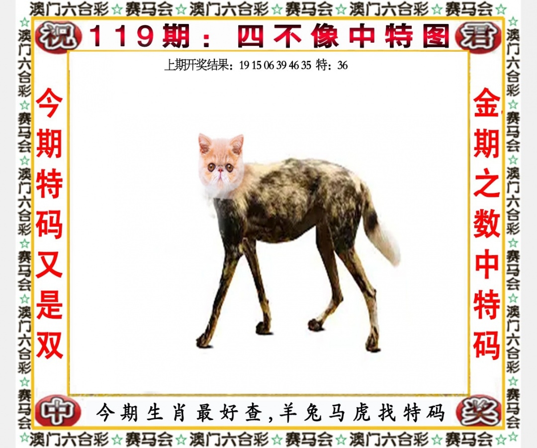 澳门天天彩正版免费全年资料文章