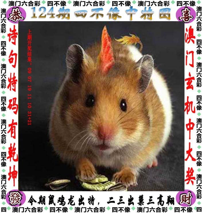 王中王100%期期准王中王100%期期准，把握财富的智慧