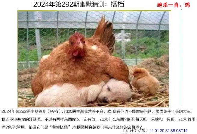 新澳门2024年宫家婆资料大全-第2张图片