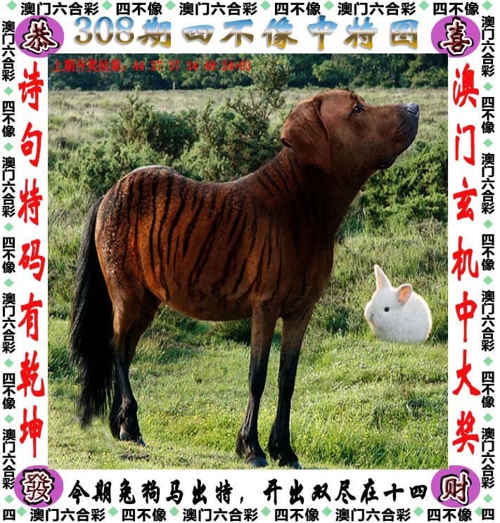 246天天免费资料大全+正版权威资料246246天免费资料大放送，二四六好彩攻略