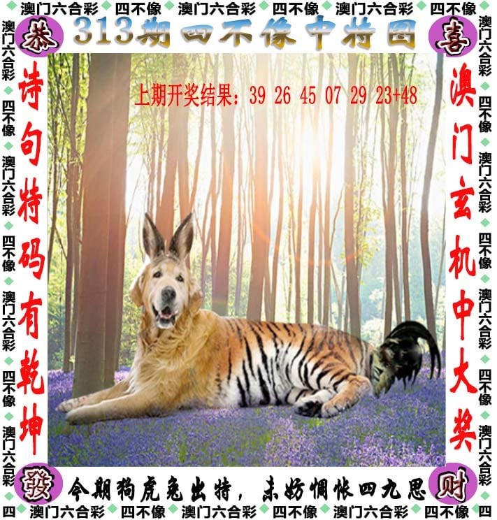 今天特马开什么号码今天特马，探索与体验的精彩瞬间