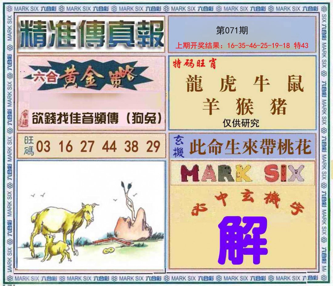 2023年管家婆一肖一玛中特管家婆一肖一玛中特2023年展望-第2张图片