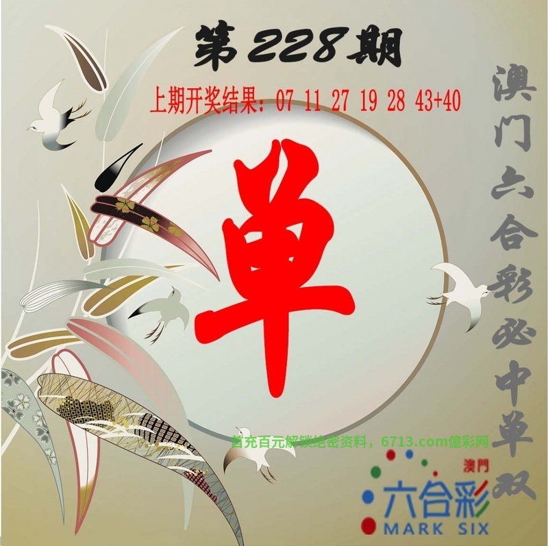 澳门免费开奖大全，49图库揭秘-第2张图片