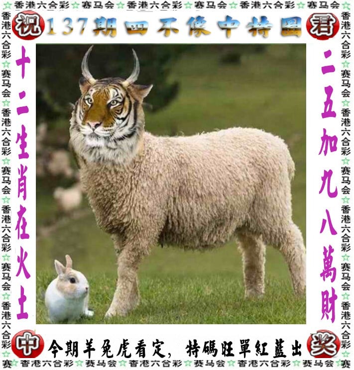 管家婆一句话中玄机管家婆一句话玄机图-第3张图片