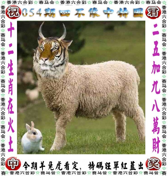 2023年香港开奖结果记录2023年香港开奖结果记录回顾