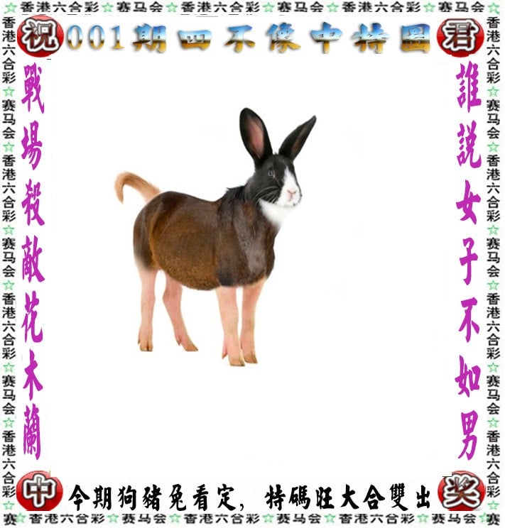澳门天天彩金牛版特色澳门天天彩金牛版，彩市中一抹亮丽的风景线-第2张图片