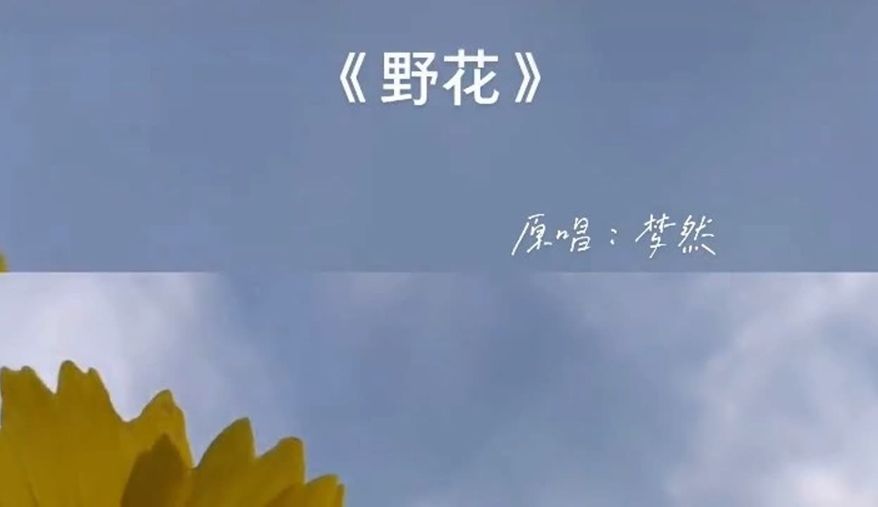 野花日本完整版在线观看免费高清