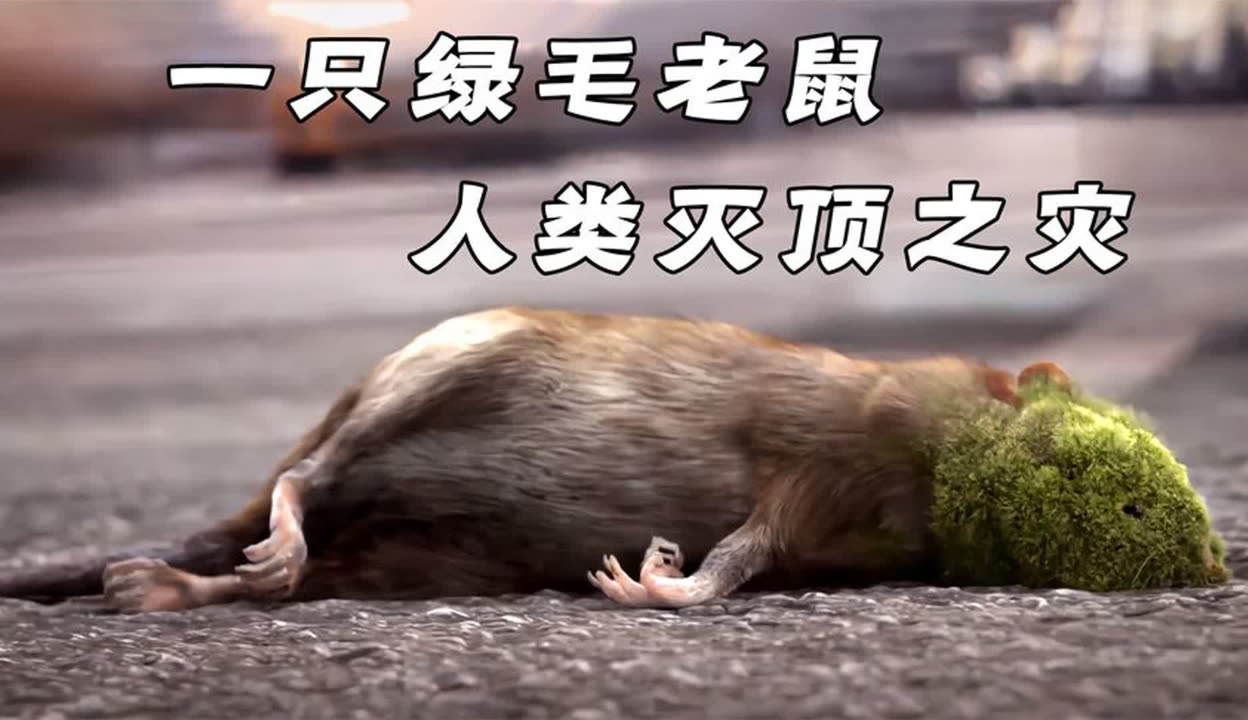 秘密基地在线观看完整版免费毛片之谜，探寻隐秘之地-第2张图片