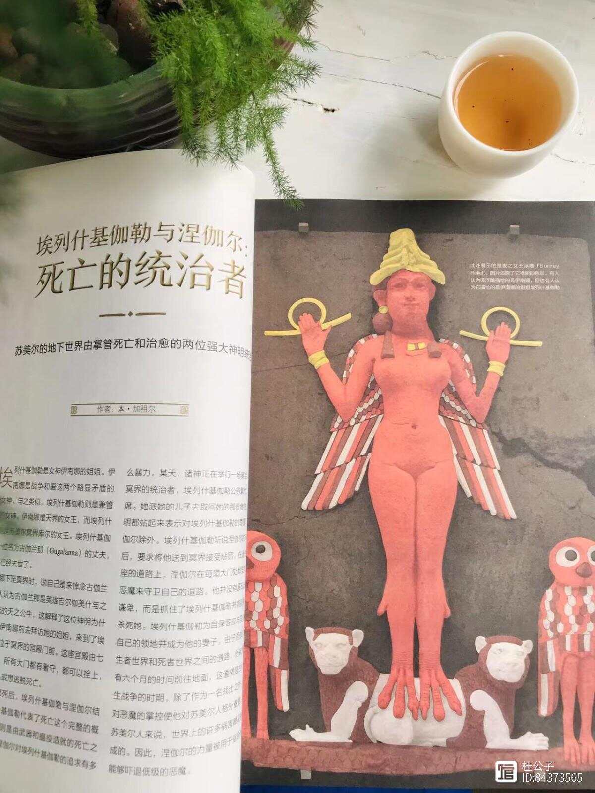 新光之神话汉化新光之神话，神秘与传奇的交织
