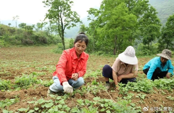乡村浪妇交换睡觉乡村浪妇交换睡觉