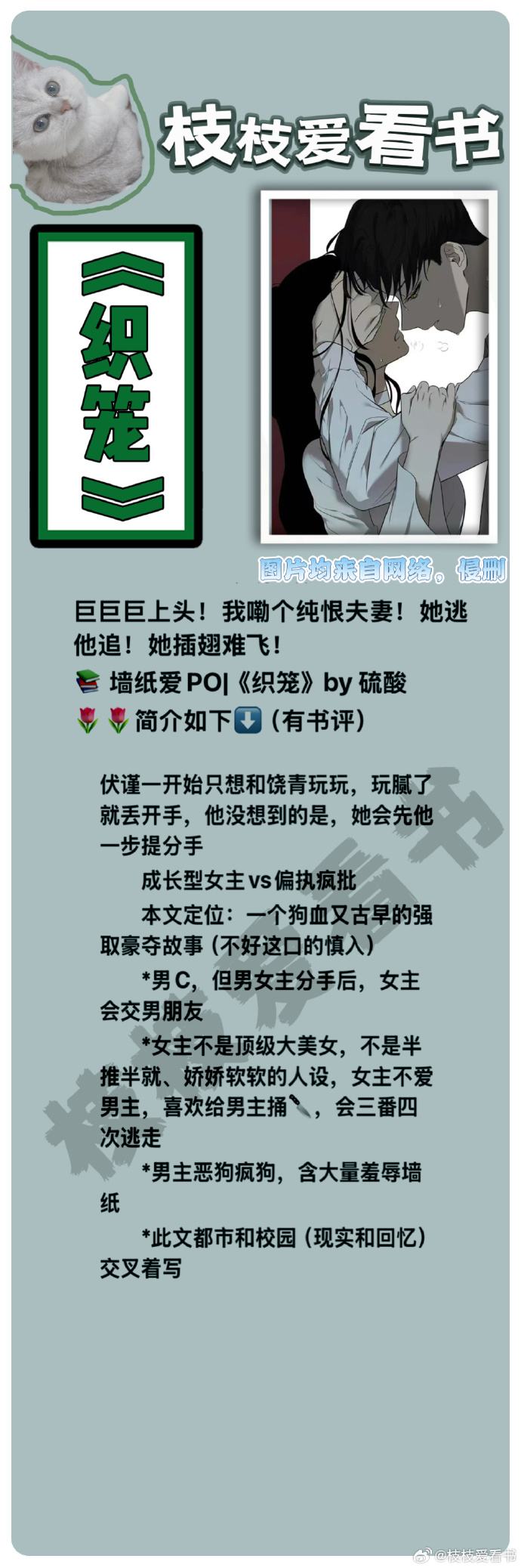 成人伦理小说成人伦理小说，道德与情感的交织