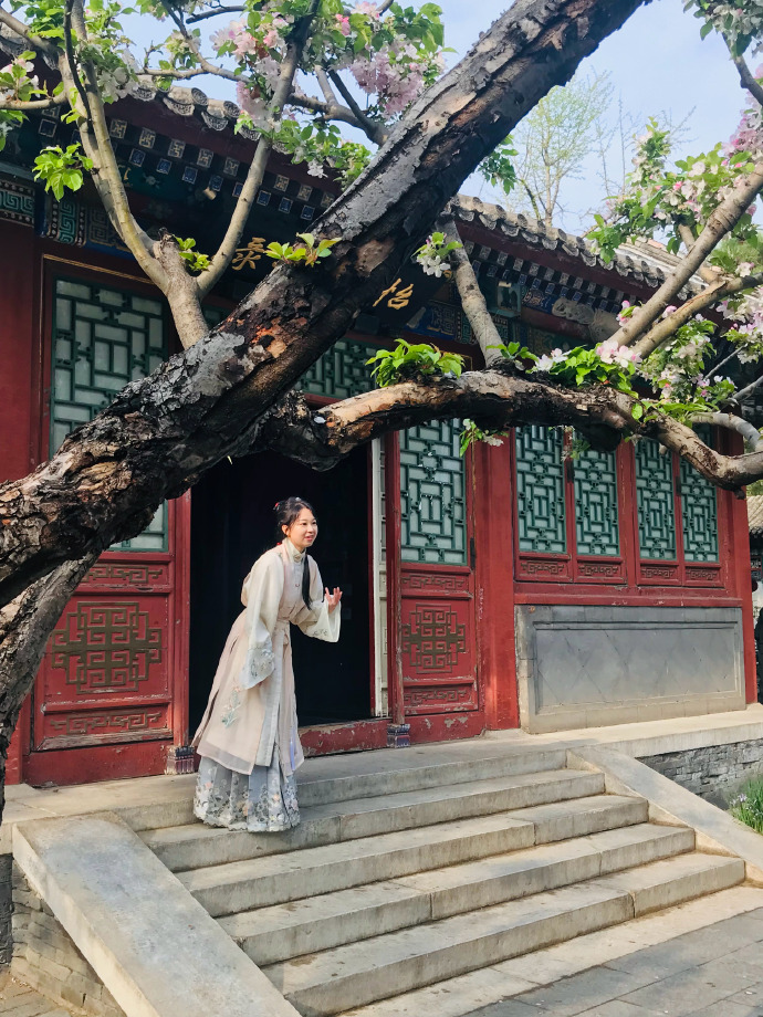 怡红院院红院，红楼一隅的繁华与故事