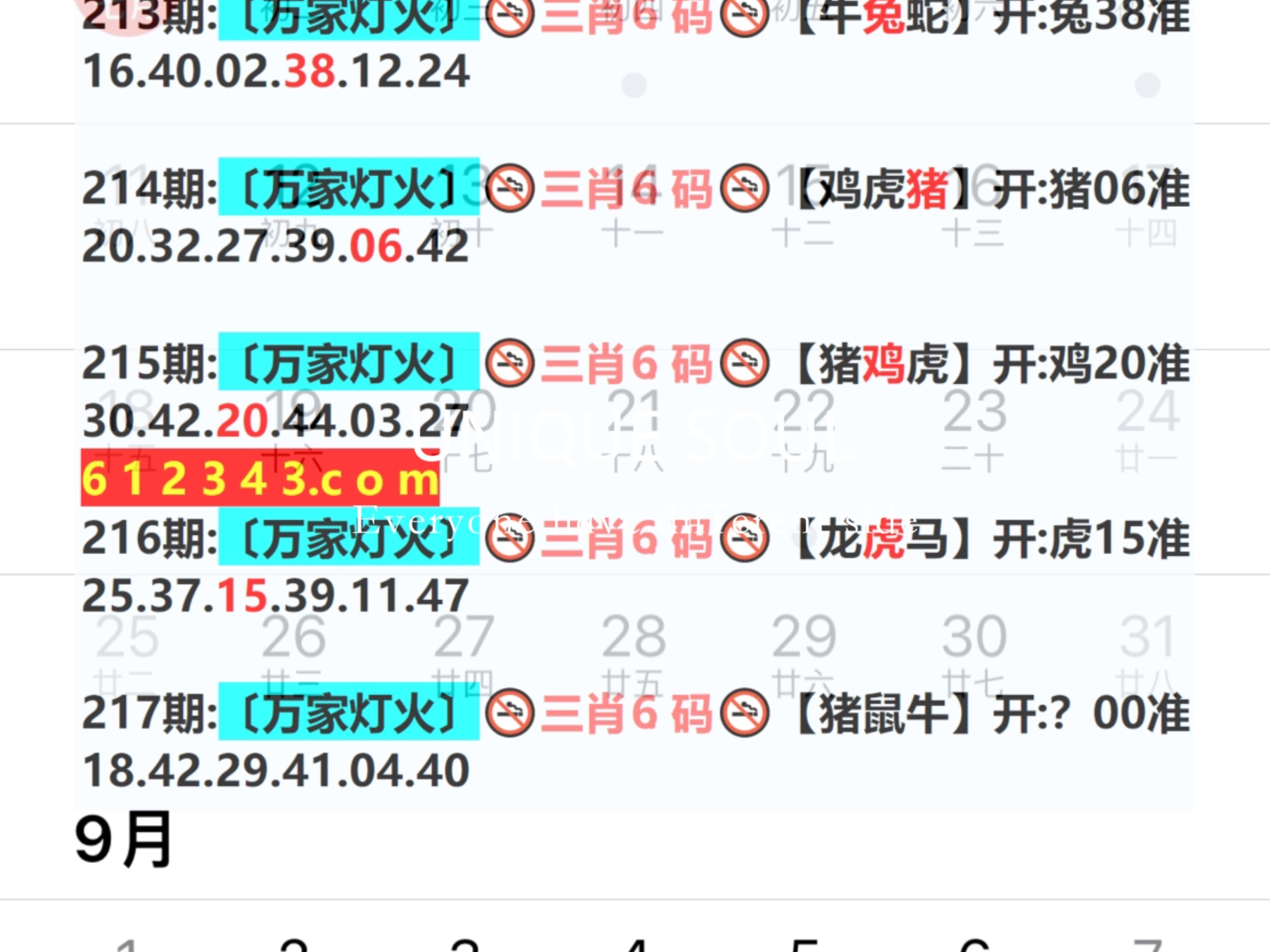 澳门今期特马四不像