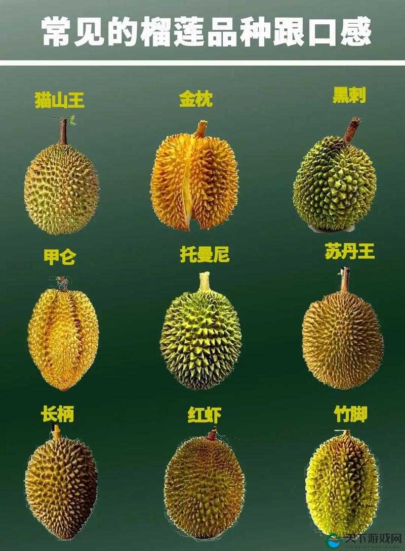 午夜刺激黄瓜西瓜葡萄榴莲游戏午夜刺激，黄瓜西瓜葡萄榴莲游戏攻略-第3张图片