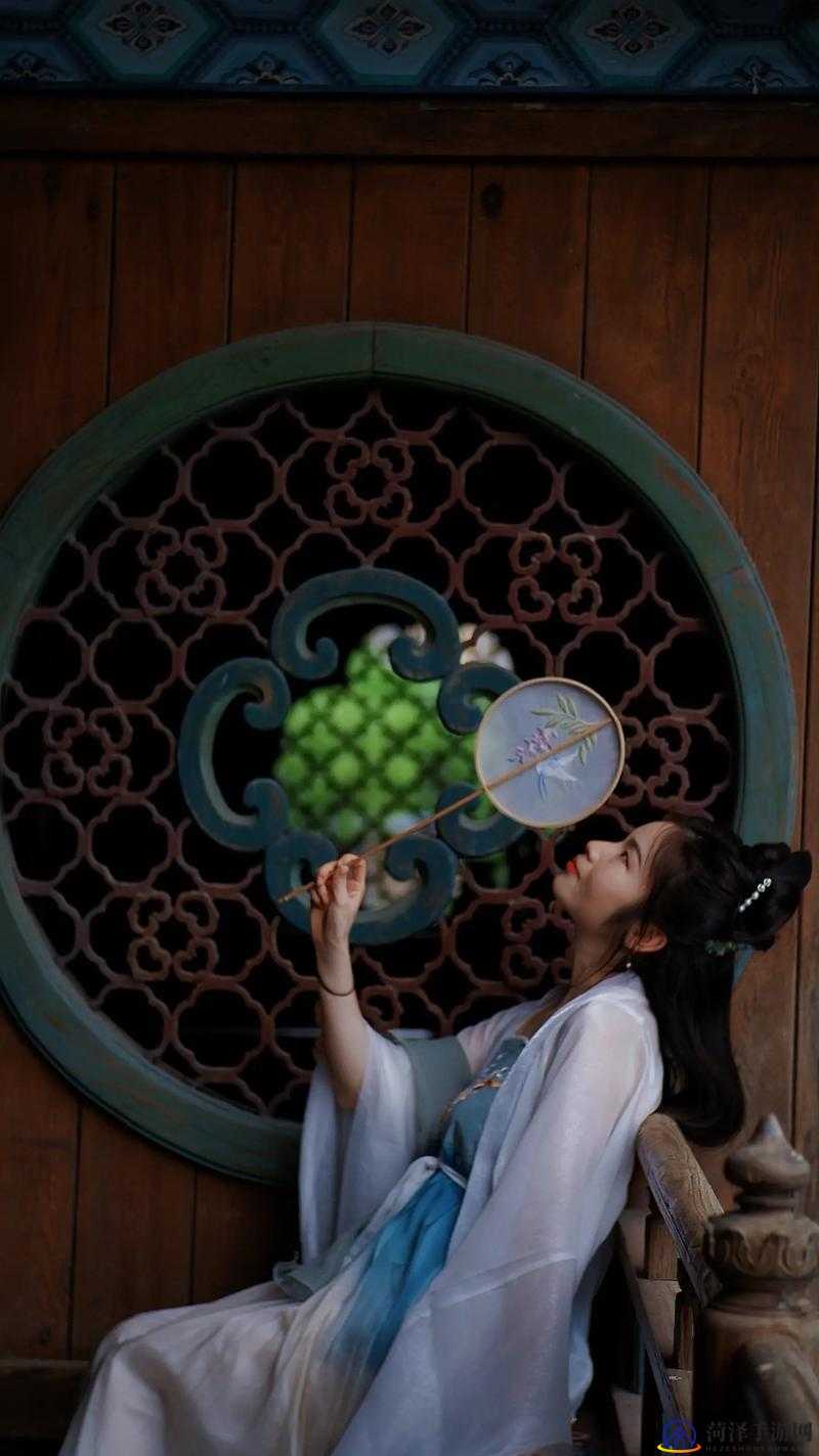麻豆传播视频，魅力与创意的展现
