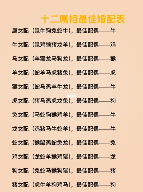 丢三落四是什么生肖-第1张图片