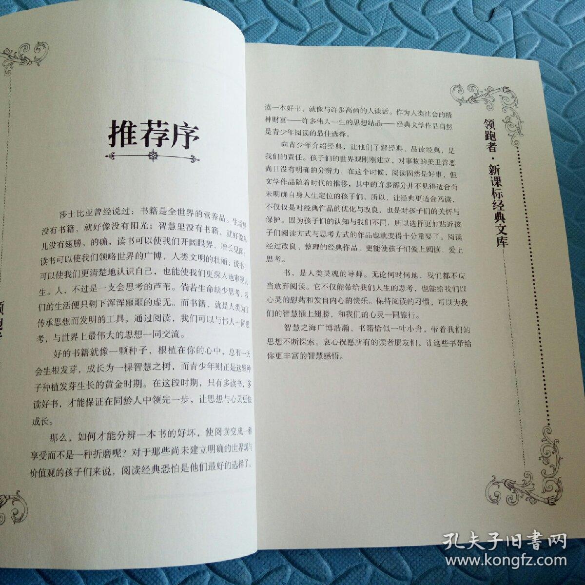 开运鉴定团紫衣-第2张图片