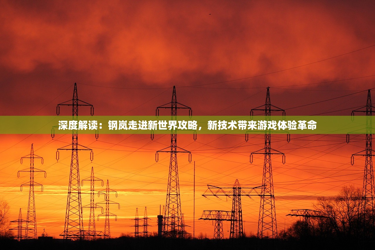 管家婆必出一肖一码，解锁未来科技-第2张图片