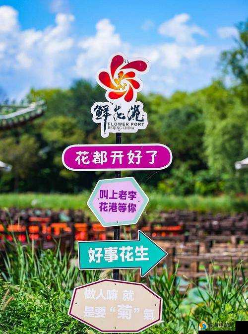 青娱乐论坛青娱乐论坛，探索娱乐新天地