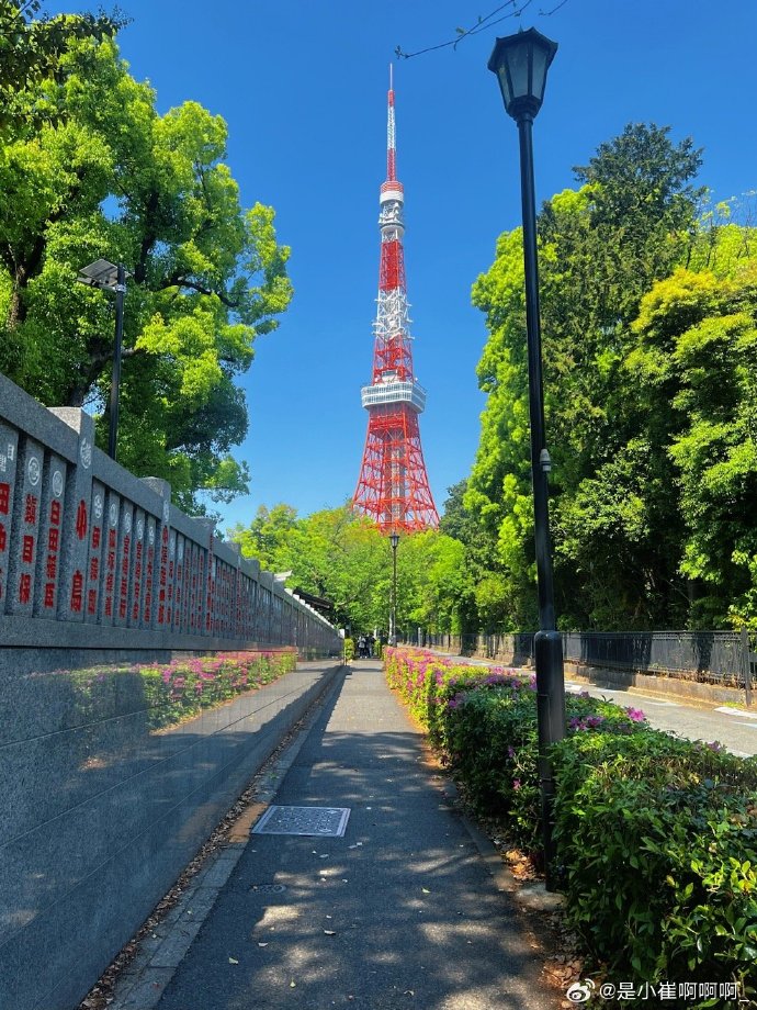 日本一卡2卡3卡4卡免费观看日本一卡免费观看指南