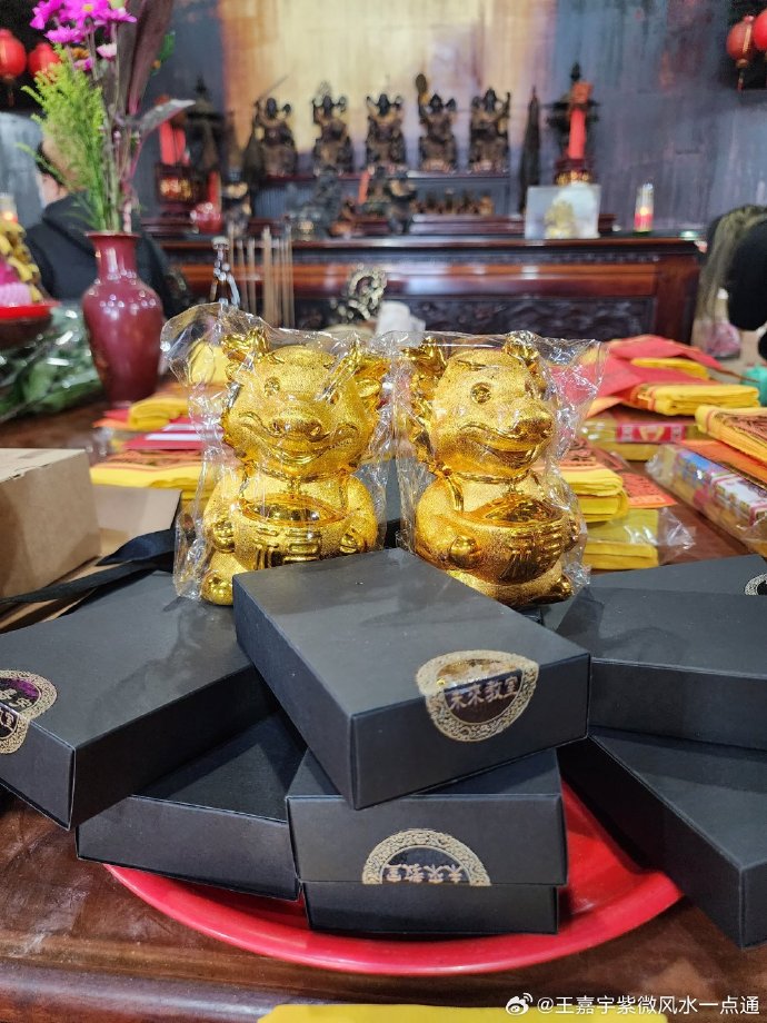 好运一点通高手主论坛好运一点通高手论坛，探索成功之路
