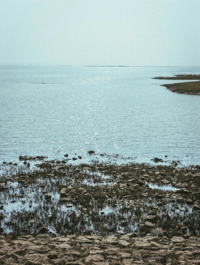 一浅一深浅浅一深-第2张图片