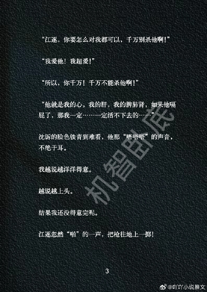 整本都是车的双男主的小说双车之恋，整本都是你的世界小说概述