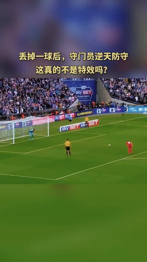 博狗体育，体育竞技的新篇章-第2张图片