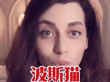 最近中文字幕视频2019年，探索与启示-第1张图片