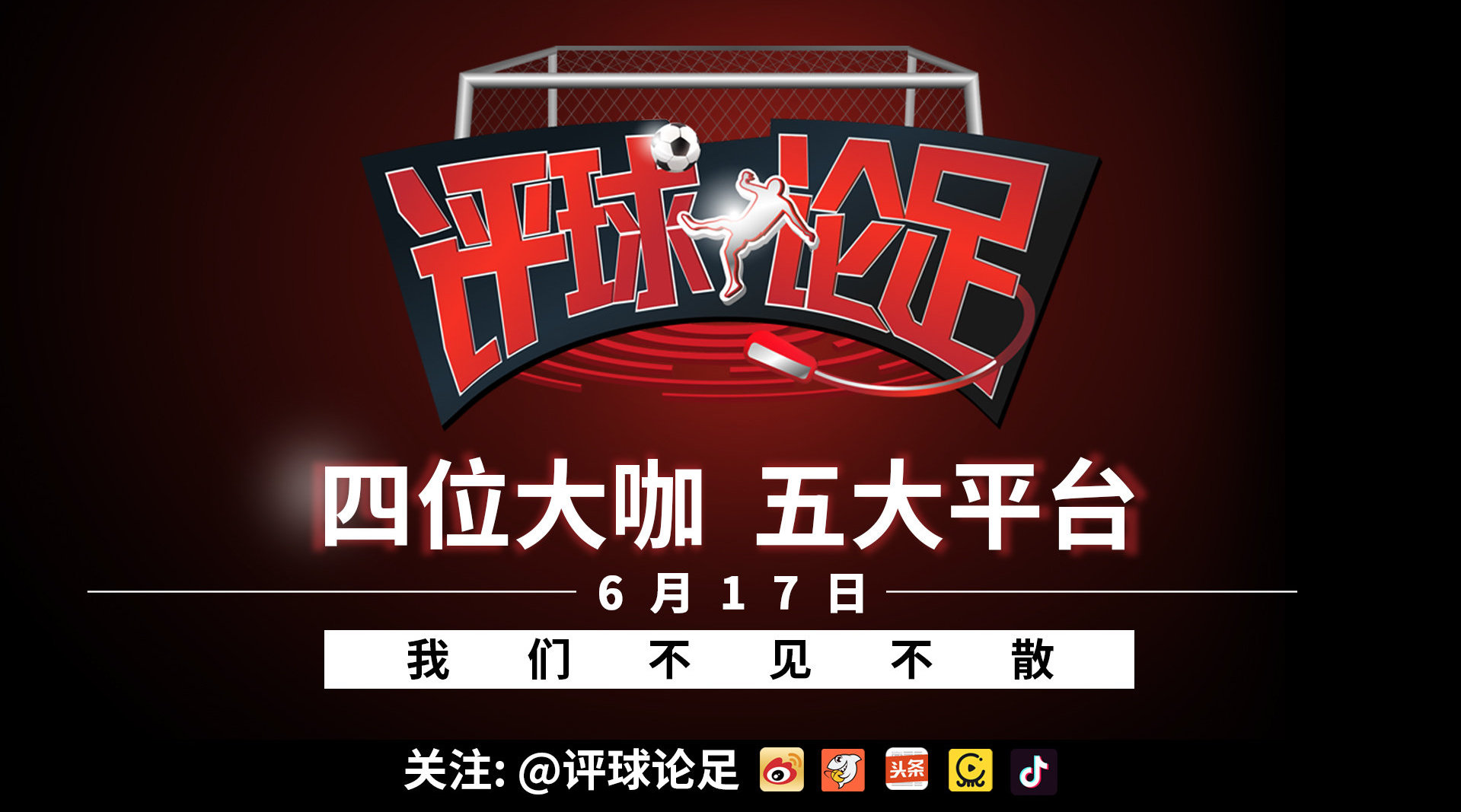 博狗网站多少啊博狗网HAOBC，引领宠物行业的新篇章