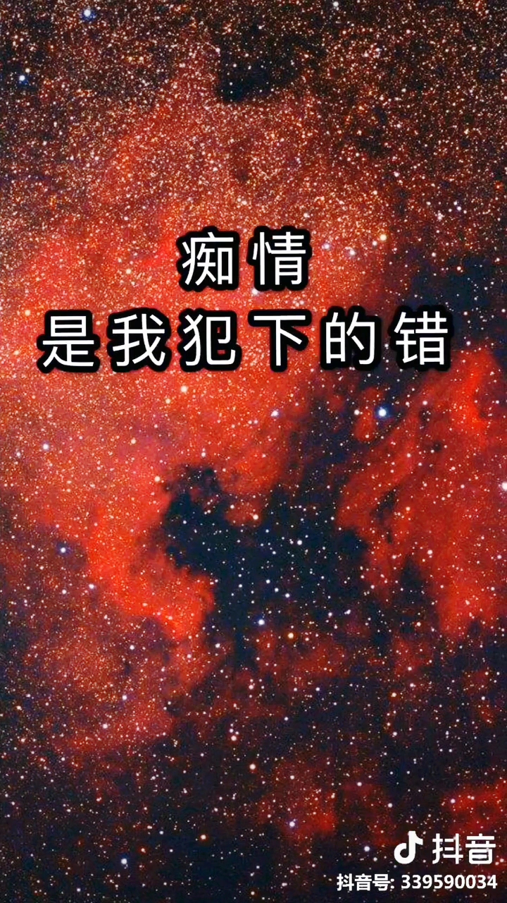 晚上寂寞时，聊天软件成佳伴