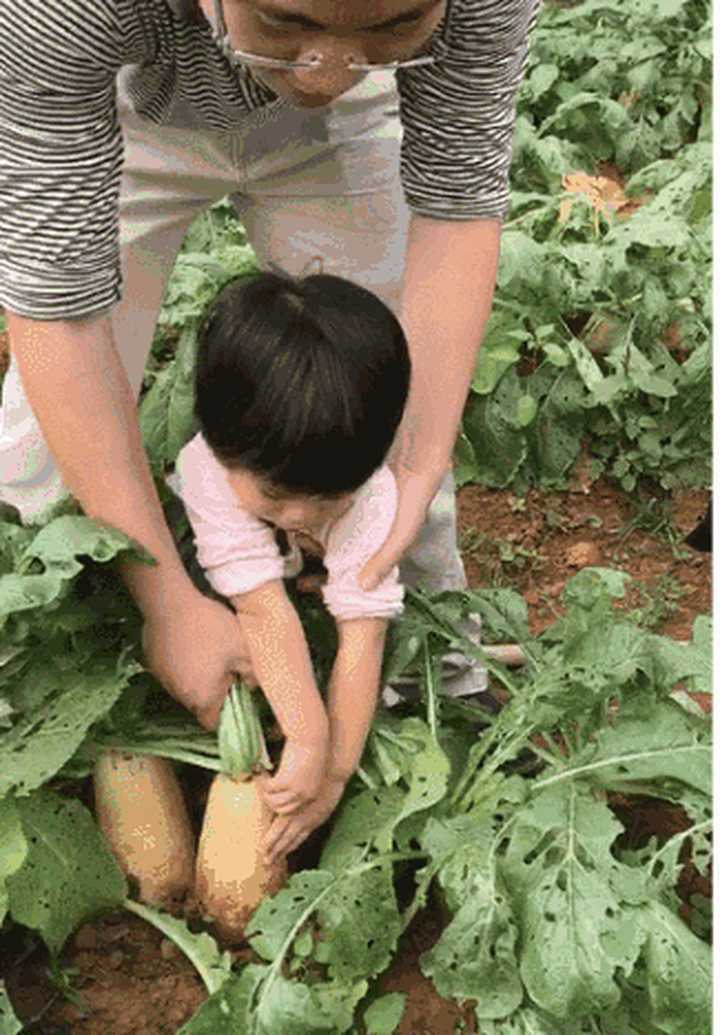 男女一起拔萝卜免费视频大全-第2张图片