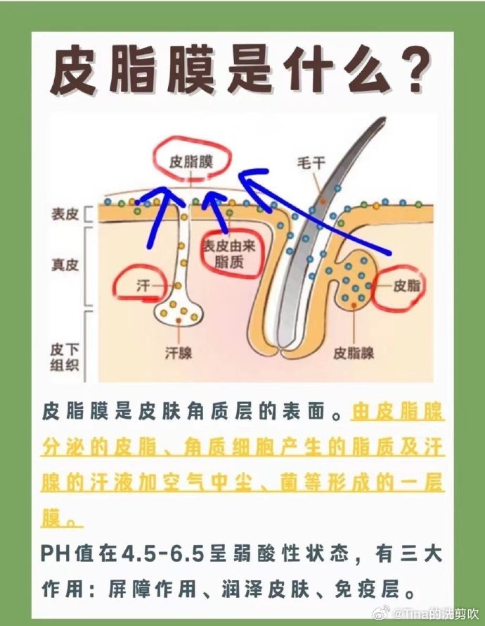 守卫皮肤，守护肌肤健康与美丽-第2张图片