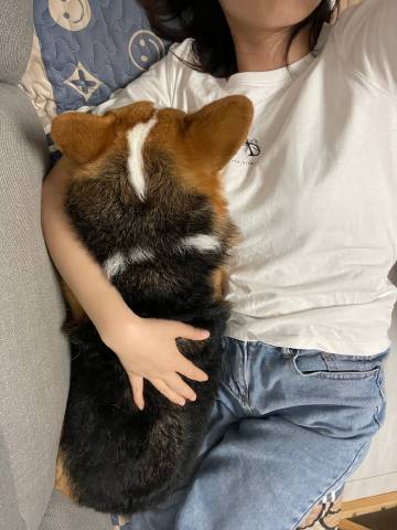 课代表趴下开让我桶30分钟网站体验-第3张图片