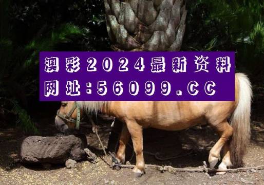 香港正版资料大全