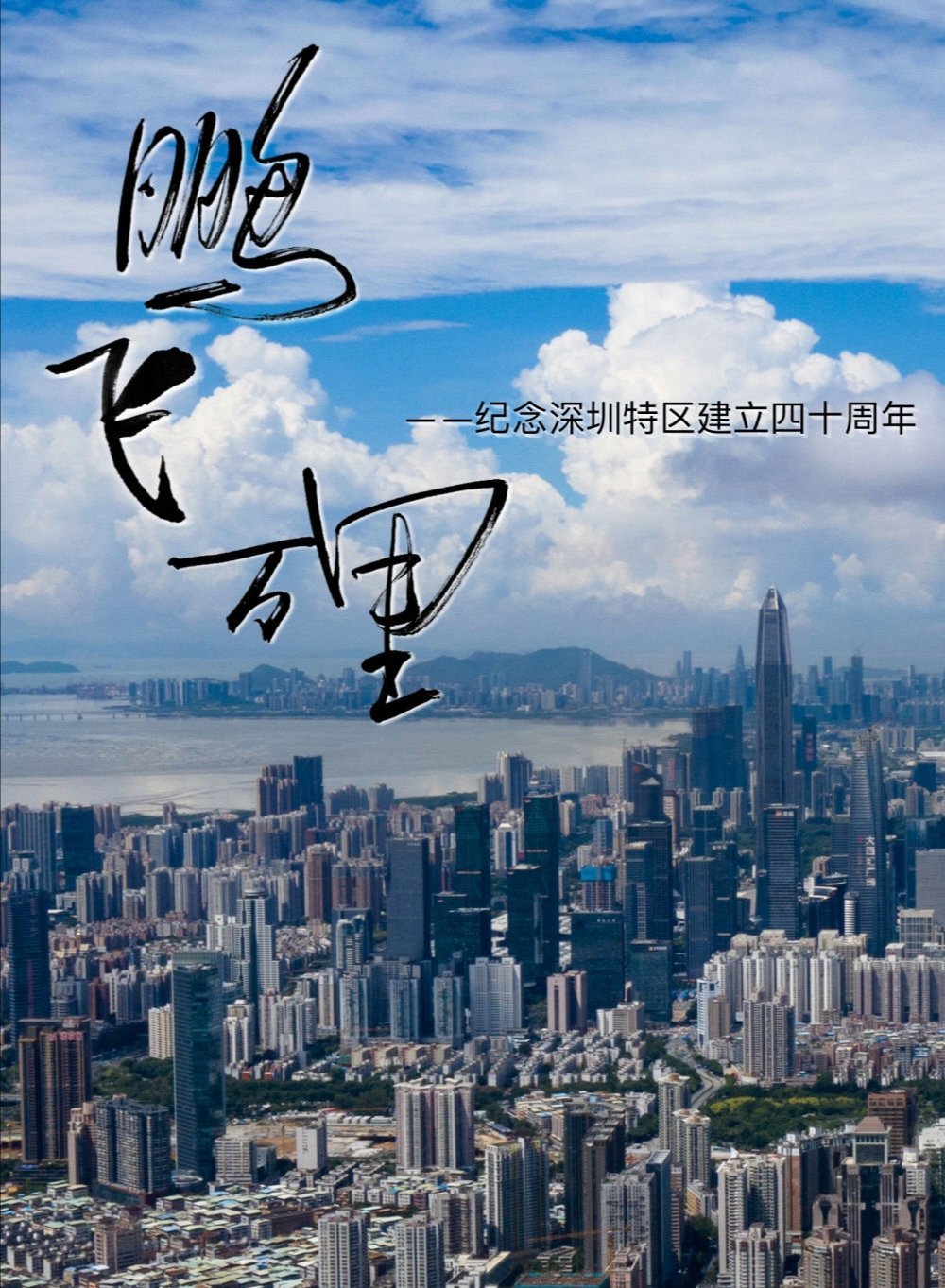 特区网，引领特区发展的前沿窗口
