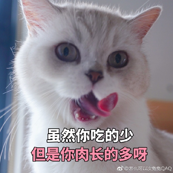 宝宝我想吃你胸前的兔兔文章宝宝我想吃你胸前的兔兔软件