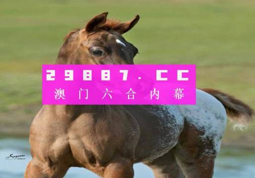 澳门澳彩大全2022年-第3张图片