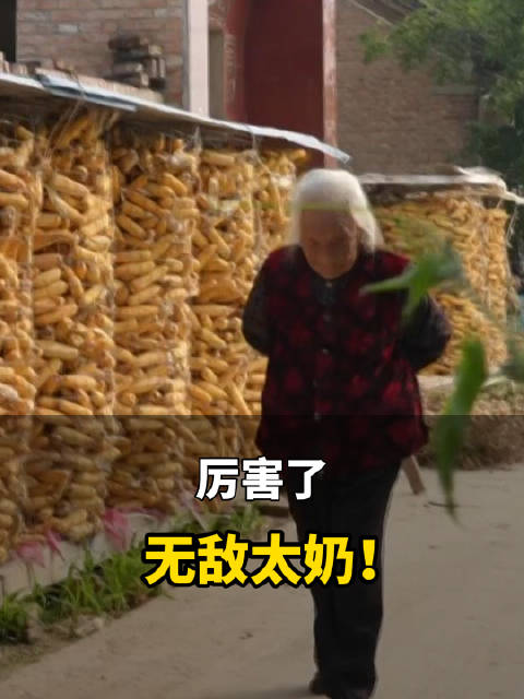 搡风流老太胖