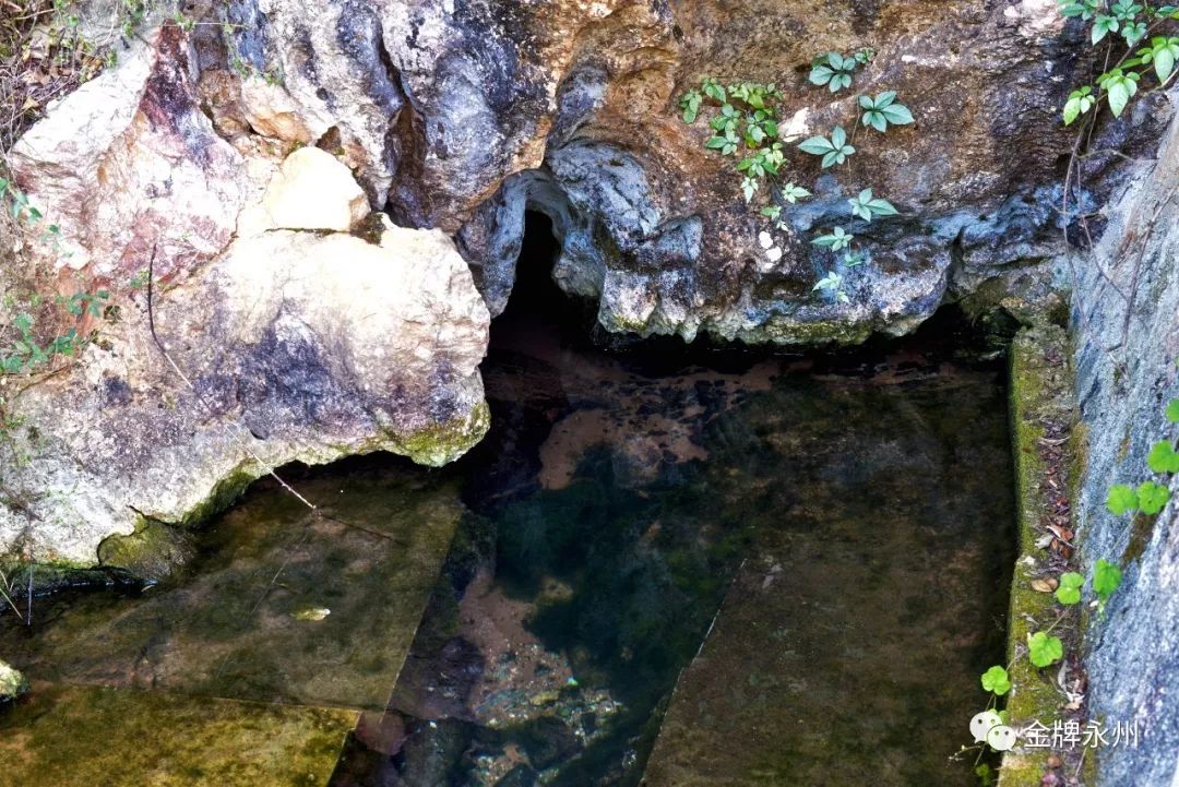 金盆水里泼红泥