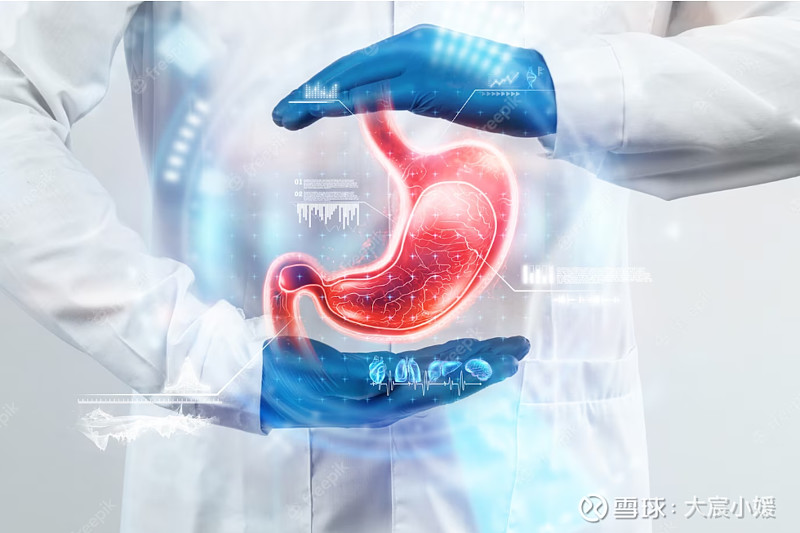 CL社区2024年新址规划最新消息关于CL论坛的深度探索